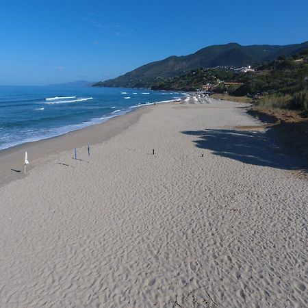 Residence Le Palme - Appartamenti Sul Mare - Spiaggia Tra Palinuro E Caprioli Пискиота Екстериор снимка